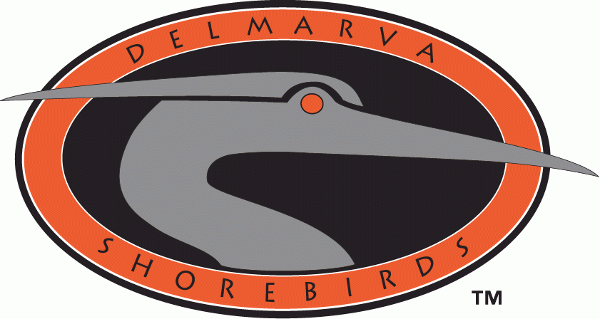 Delmarva Shorebirds 1996-2009 Primary Logo iron on transfers for T-shirts